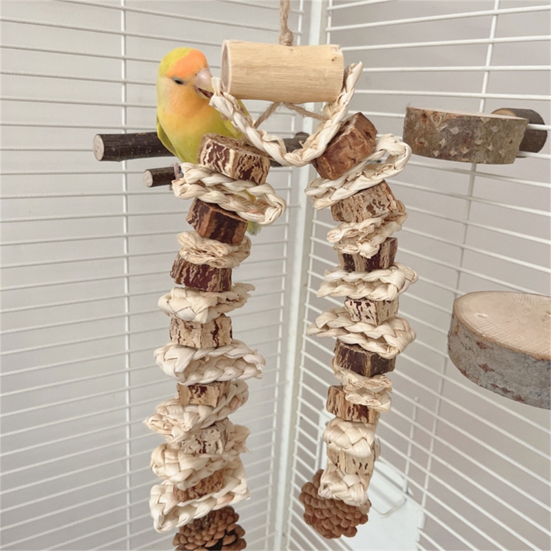 Birds' Entertainment Station: Specially Crafted Chunky Pine Cones for Beak Play