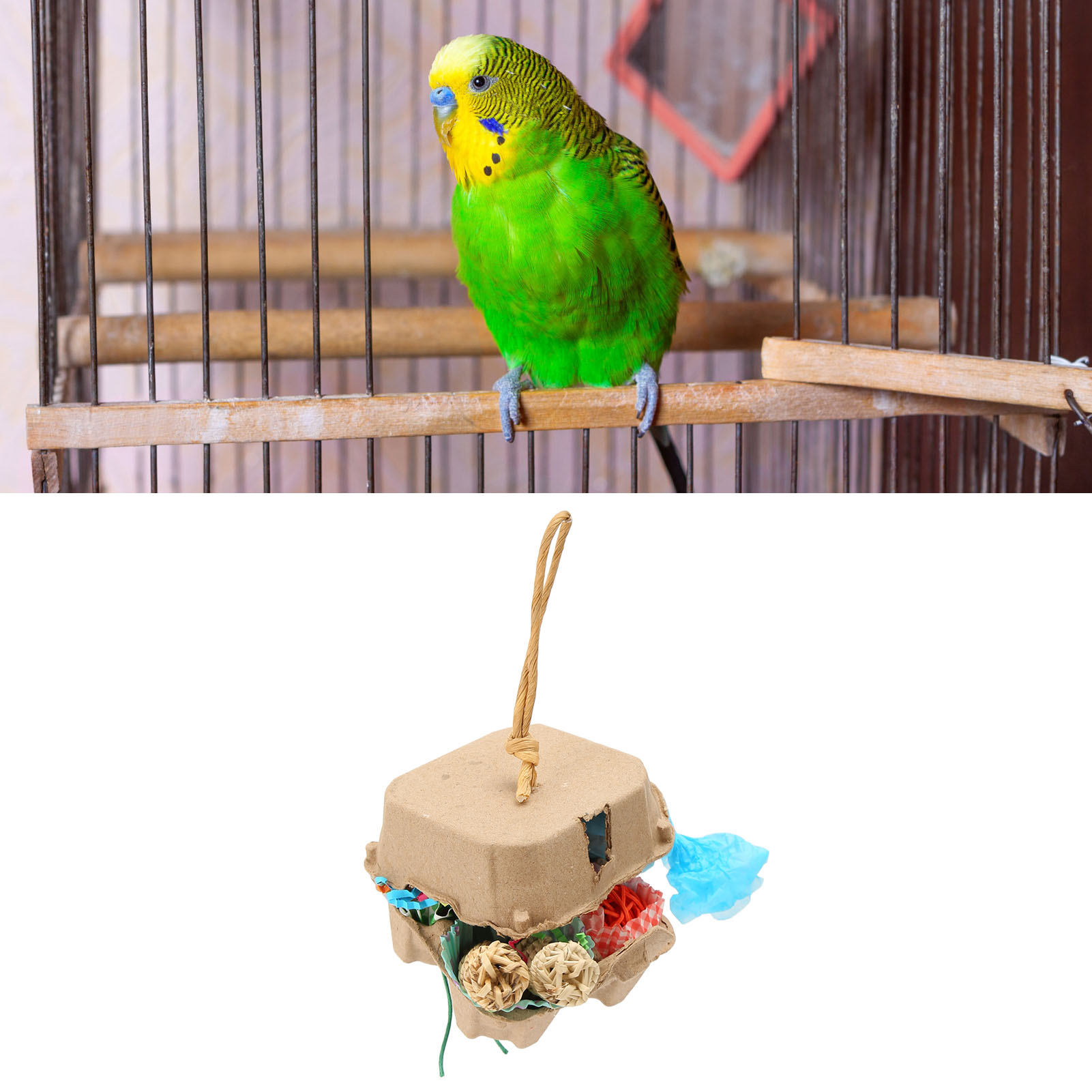 Bird Foraging Box Toys Fun Colorful Shredding Paper Sola Wood Rattan Ball Grass Rope Parrot Foraging Toys