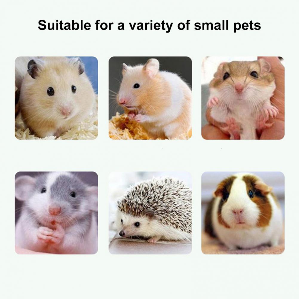 Hamster Wheel Easy to Install Pet Running Wheel Transparent Hamster Exercise Toy Small Pets Supplies