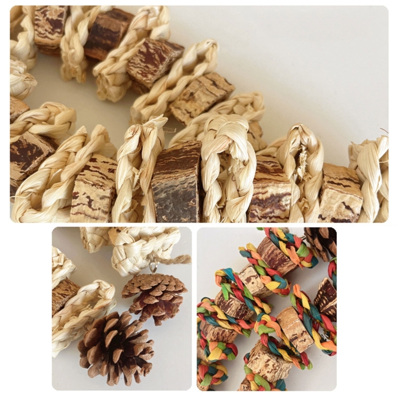 Birds' Entertainment Station: Specially Crafted Chunky Pine Cones for Beak Play