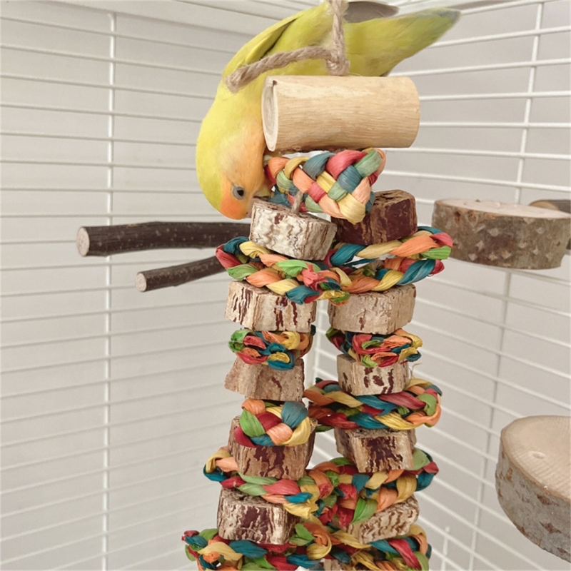Birds' Entertainment Station: Specially Crafted Chunky Pine Cones for Beak Play