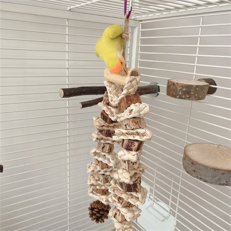 Birds' Entertainment Station: Specially Crafted Chunky Pine Cones for Beak Play