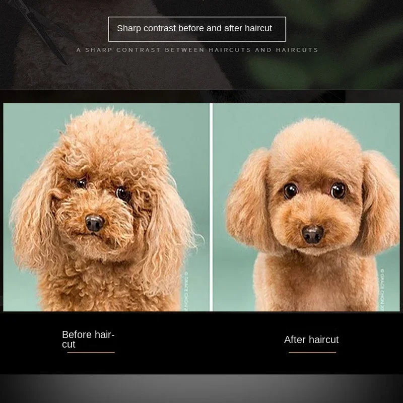 Teddy Bent Hair Tool Trimming Set Professional Dog Scissors Grooming Haircutting Clippers Pet H260303