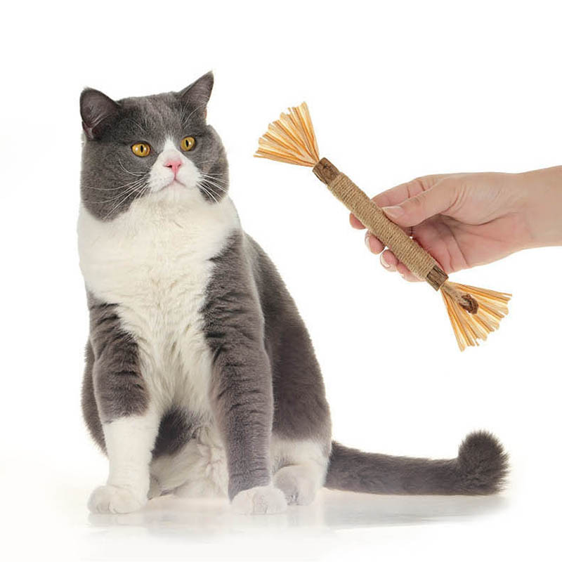 Pet Cat Molar Stick Toy Wooden Polygonum Stick Lafite Grass Hemp Rope Cat Teasing Stick Kitten Clean Teeth Chew Toy Pet Supplies