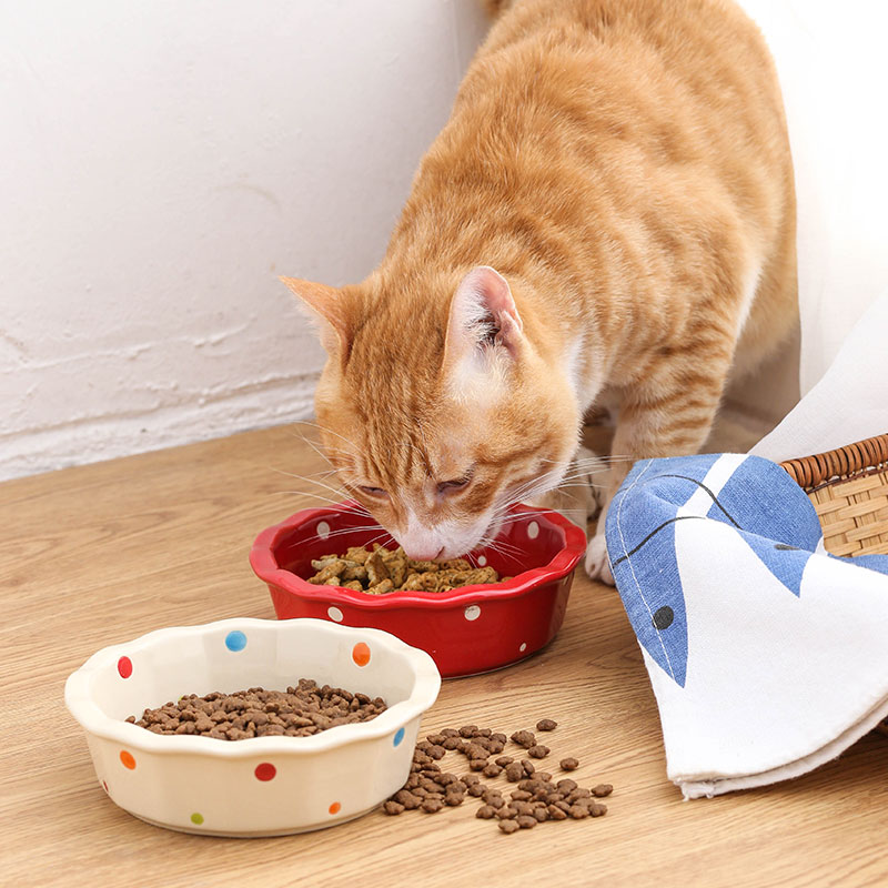 2025 new Ceramic Cats Feeding And Water For Pet Feeder Drinker Puppy Dog Food Dishes Eatting Bowl Porcelain Cat Supplies Accessories