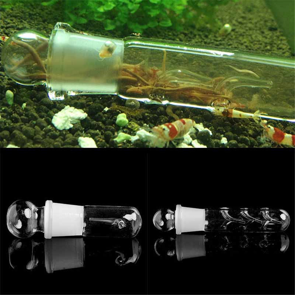 2025 new 2025 new 2025 new 1PC Aquarium Pest Fish Tank Clear Glass Catch Trap For Cherry Crystal Red Dwarf Shrimp Flatworms
