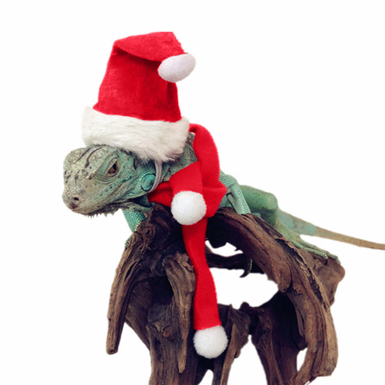 Chicken Pets Lizard Guinea Pigs Christmas Sets Christmas Hat Scarf Christmas Fleece Set Pet Costume Navidad Xmas Decor Noel