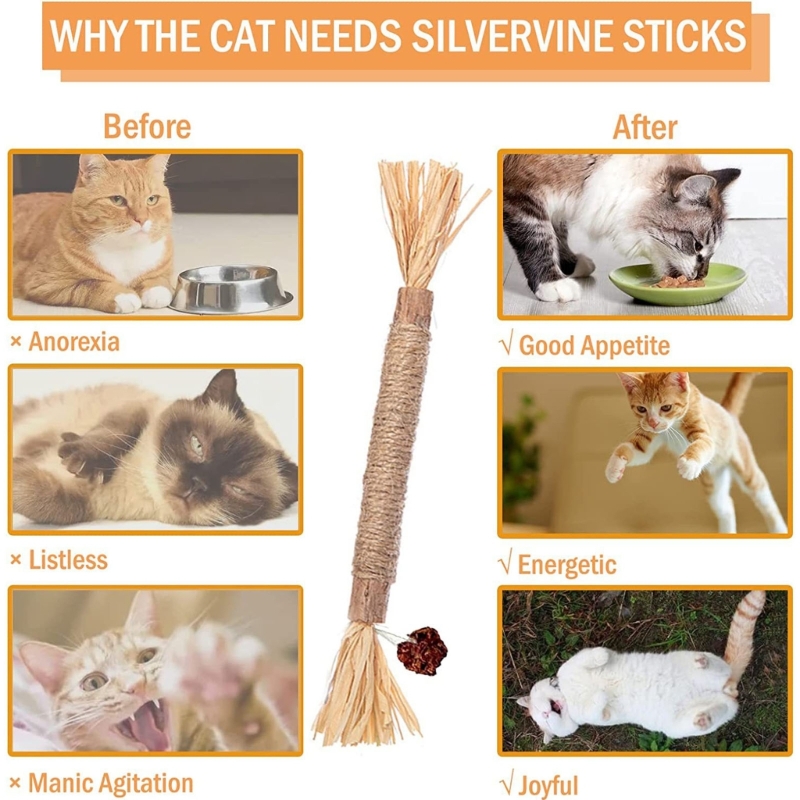Natural Matatabi Pet Cat Snacks Sticks Cleaning Tooth Catnip Cat Toys Actinidia Silvervine Pet Toy For Cats Accessories