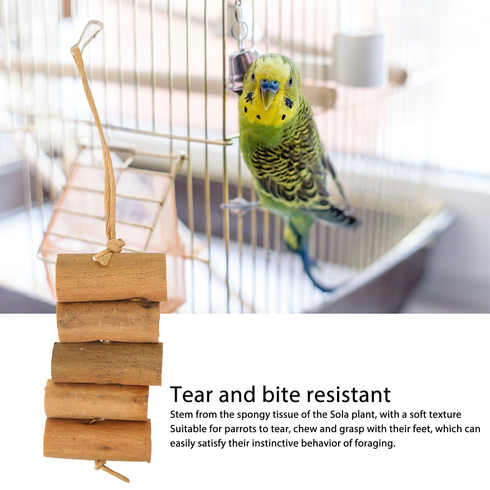 Bird Chew Toys Bite Resistant Teeth Grinding Boredom Relief Sola Log Bird Toys For Parrots Parakeet Cockatiel