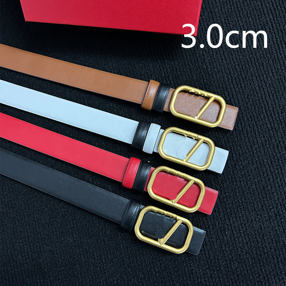 Designer Double Belt For Women Fashion Gold Buckle Belts Outdoor Jeans Dresses Accessories