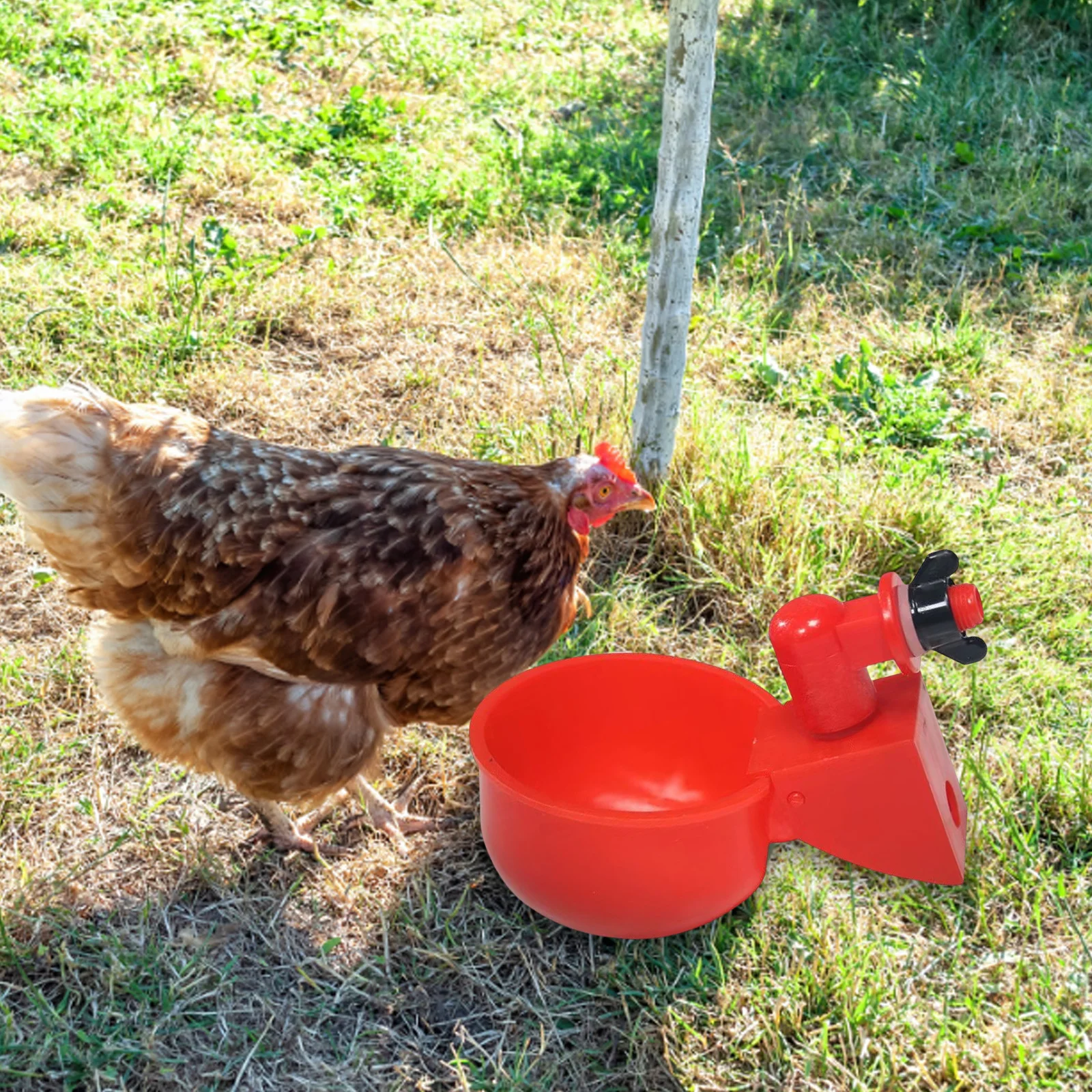 6/12PCS Chicken Drinking Bowl Poultry Automatic Water Dispenser Chicken Ducks Feeder Drinker Hanging Farm Animal Feeder Drinker