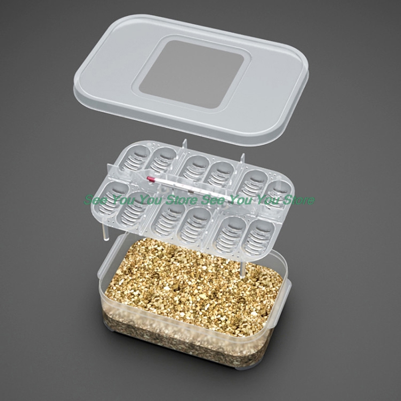 12 Grids Hatch Box Snake Lizard Reptile Egg Tray Boxes Hatching Eggs Device Climbing Pet Tortoise Turtle Incubator Supplies