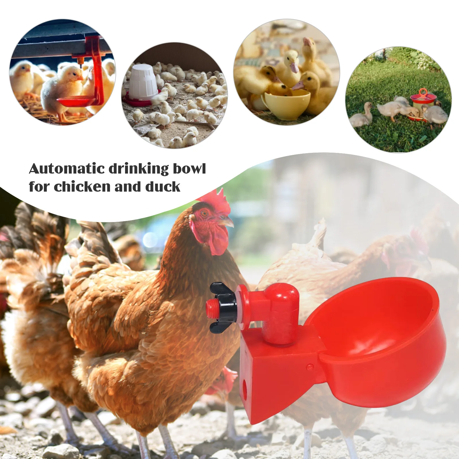 6/12PCS Chicken Drinking Bowl Poultry Automatic Water Dispenser Chicken Ducks Feeder Drinker Hanging Farm Animal Feeder Drinker