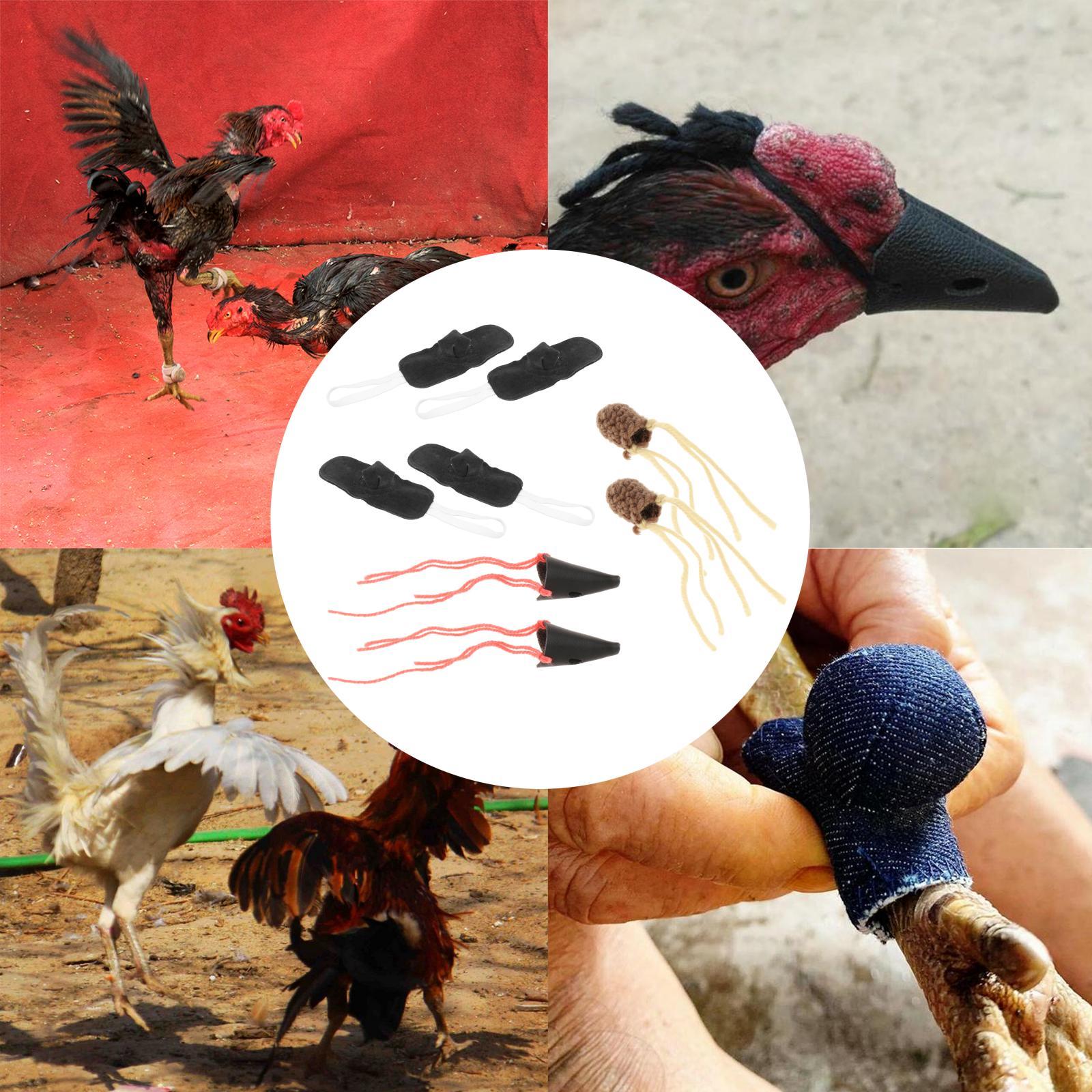 fighting Gamefowl Fighting Accessories Wrestling Farm Equipment Supplies Poultry Animals Fighting