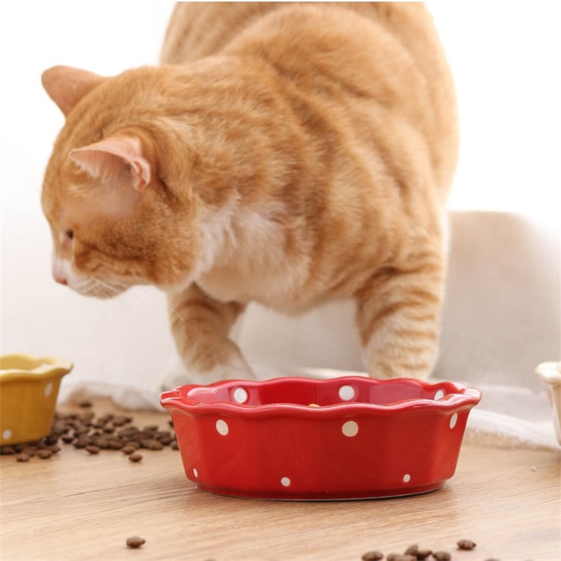 2025 new Ceramic Cats Feeding And Water For Pet Feeder Drinker Puppy Dog Food Dishes Eatting Bowl Porcelain Cat Supplies Accessories