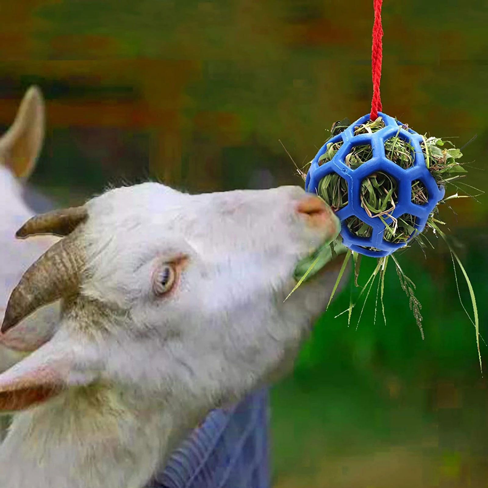 Horse Treat Ball Feeder Toy Hay Ball Hanging Feeding Toy for Horse Stable Stall