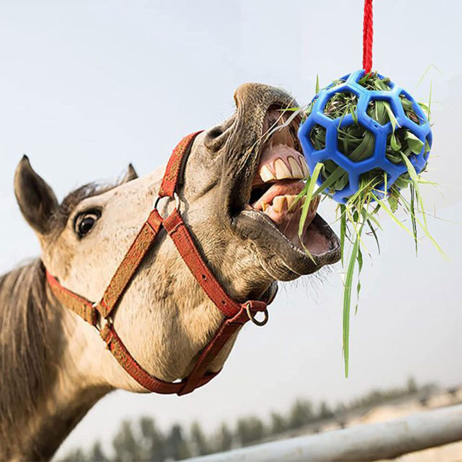 Horse Treat Ball Feeder Toy Hay Ball Hanging Feeding Toy for Horse Stable Stall
