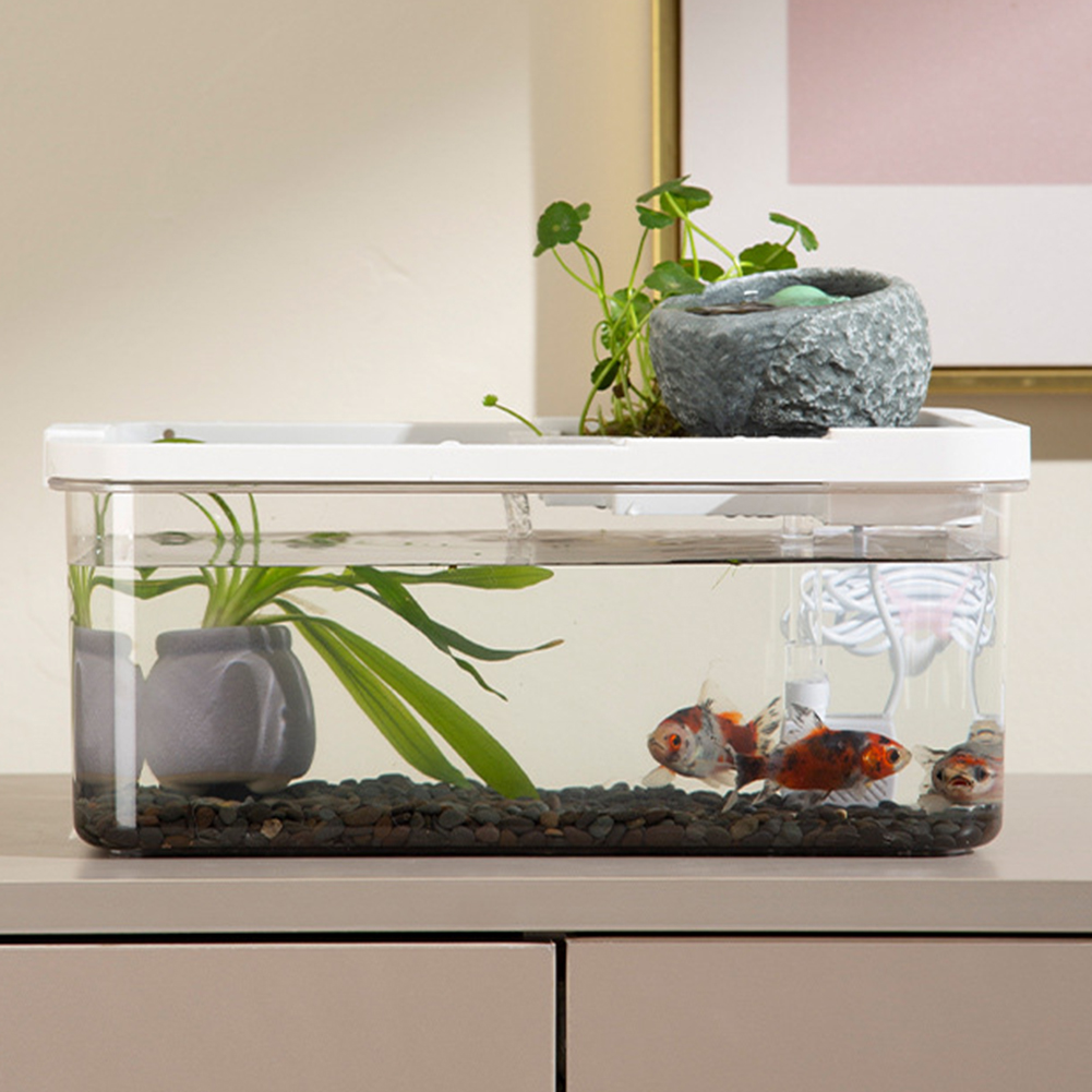 Fish Tank Aquarium Fish Tank With Filter and LED Light Desktop Small Fish Tank for Betta Fish Starter Kit