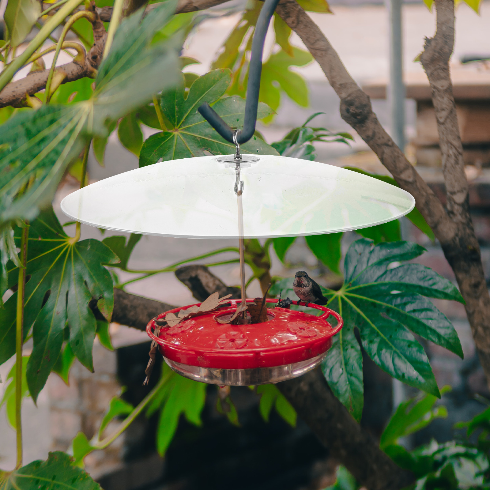 Bird Feeder Cover Accessory Rain Protective Supply Squirrel Baffles Birds Snow-proof Hanging Outdoor Overdoor Hooks