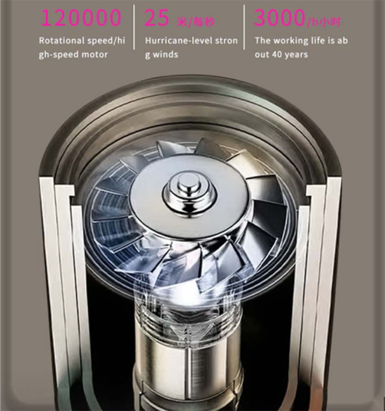 Leafless High Speed Anion Dryer Constant Temperature Portable Quick Dry Professional Hair Care Negative Lon