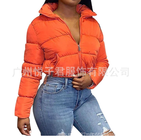 Fashionable and versatile designer winter street trendy ordinary zipper solid color lightweight lapel imitation silk velvet down jacket