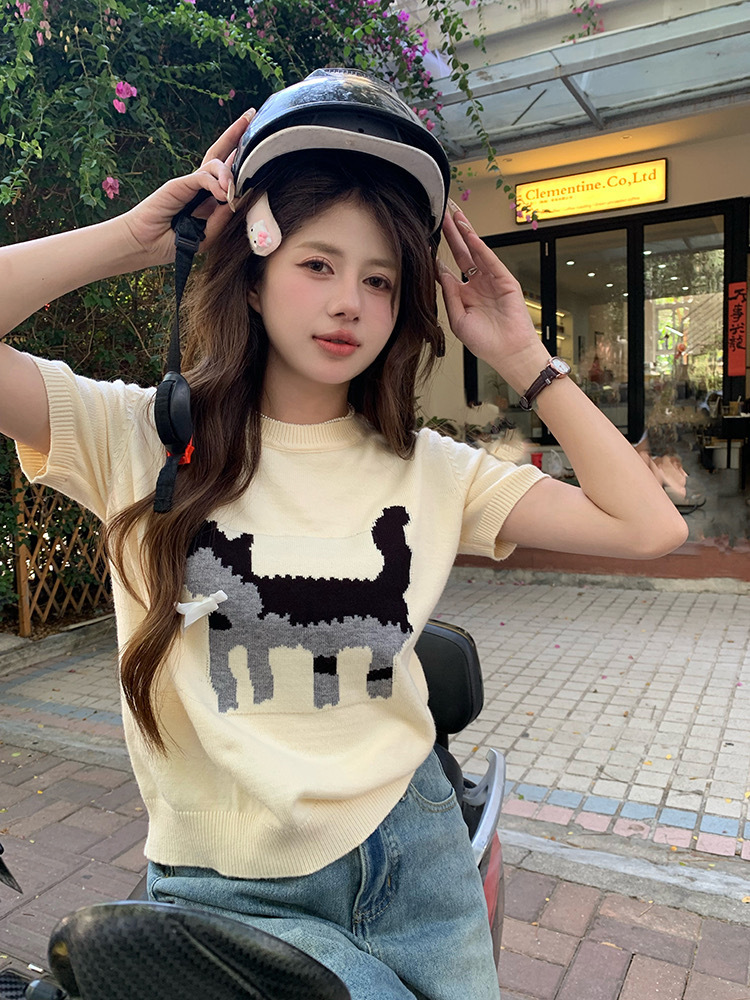 Winter new grey jacquard women's T-shirt loose round neck knitted shirt designer short sleeved top Ins