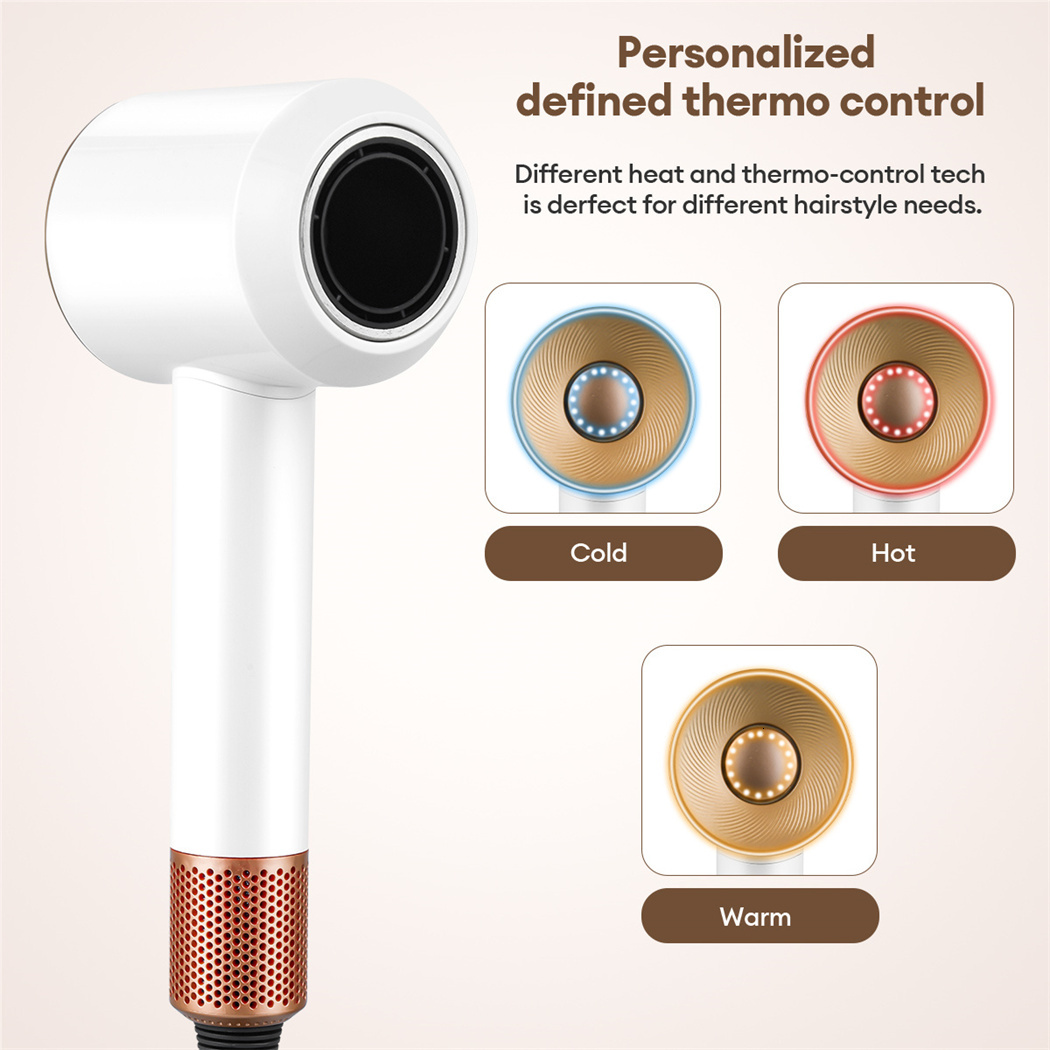 1600W Hair Professional Brushless High Speed Powerful Blow Electric Negative Ion Adjustable Salon Household Dryer