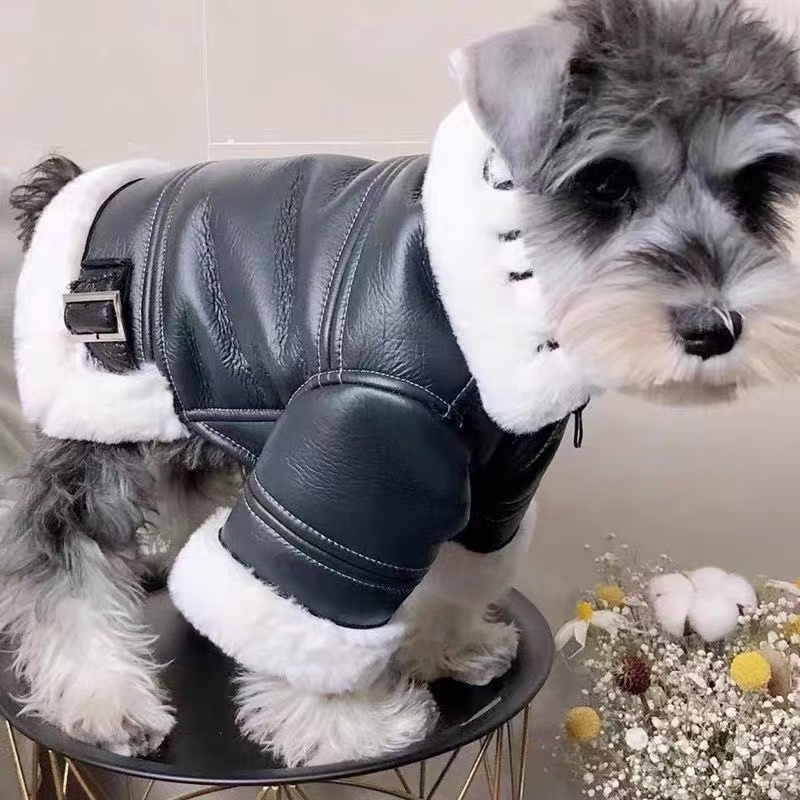 Autumn Winter Dog Puffer Jacket Luxury Designer Dog Down Plush Coat Black Pu Leather Clothes