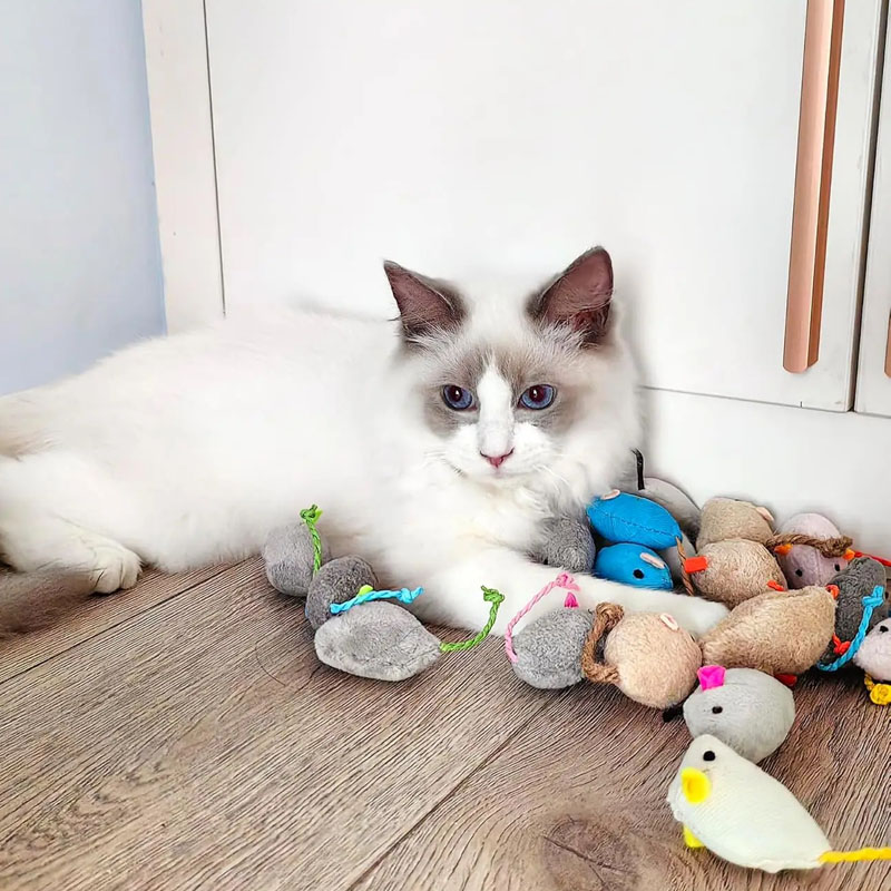 Rattle Cat Mouse Toys Prefilled Catnip Faux Fur Mice Toys Interactive Cat Game Catnip Toys for Indoor Cats toy