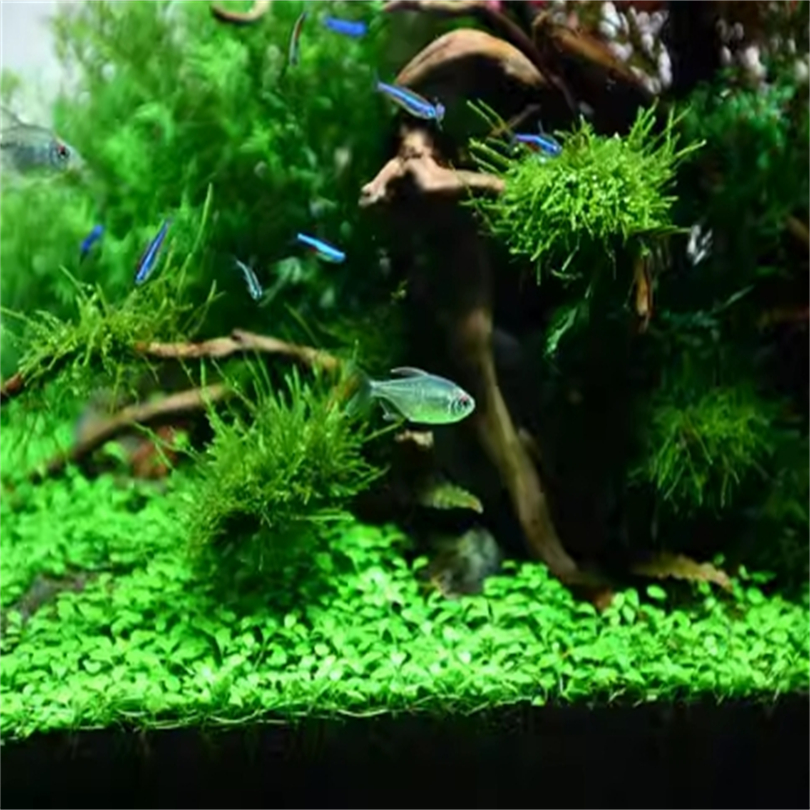 Aquarium Decoration Aquatic Float Water Grass Clay Cup Fertilizer amazonia aquarium soil substrate aquarium Fish Tank Mud