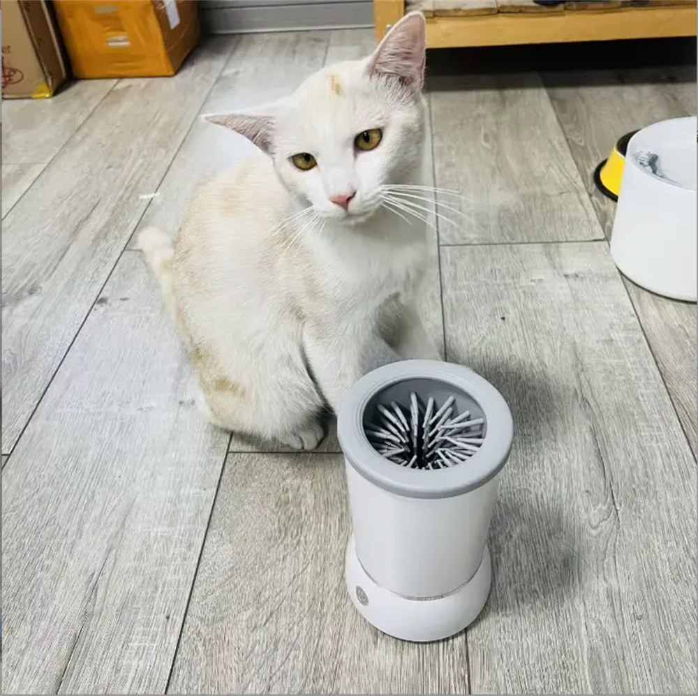 Multi-Size Cat and Dog Paw Cleaning Machine Comfortable and Easy to Use