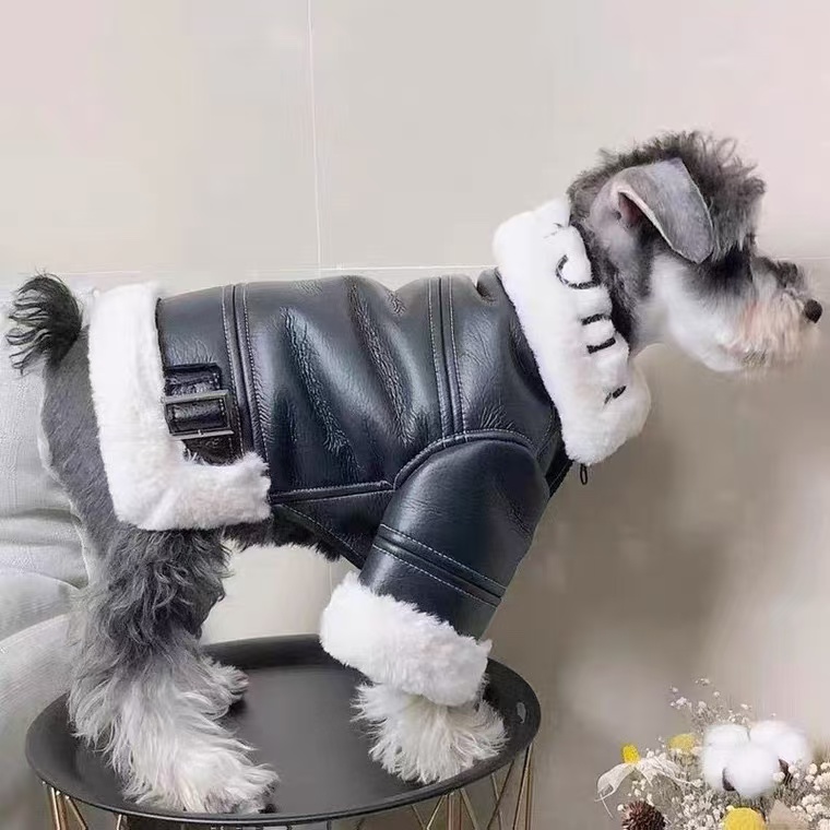 Autumn Winter Dog Puffer Jacket Luxury Designer Dog Down Plush Coat Black Pu Leather Clothes