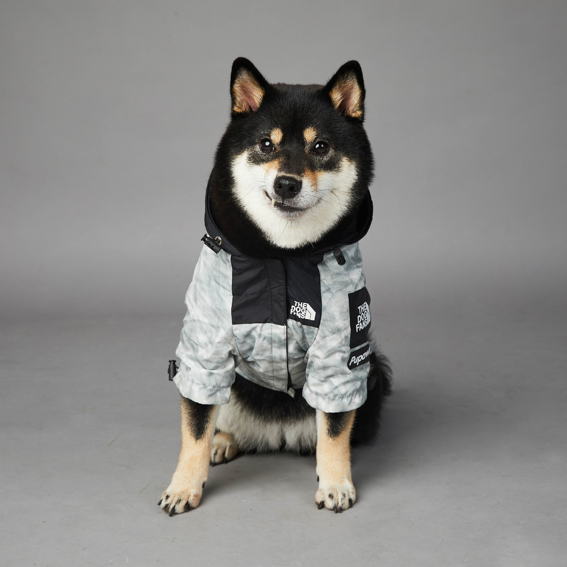 Top quality fashion brand dog coats windproof waterproof dog jackets small medium size dog puffer jacket