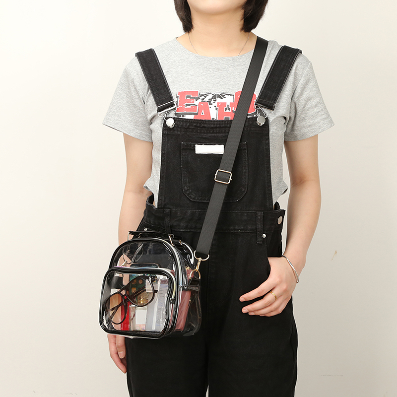 The 2025 new transparent ladies' bag, a small crossbody bag