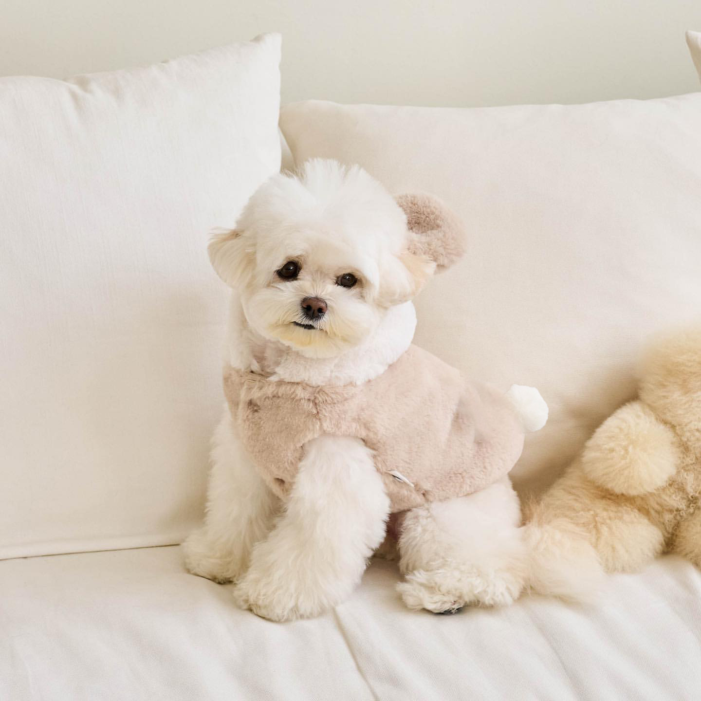 Update Warm Autumn & Winter Pet Jackets - Adjustable Shapeshifting Outfits For Dogs And Cats
