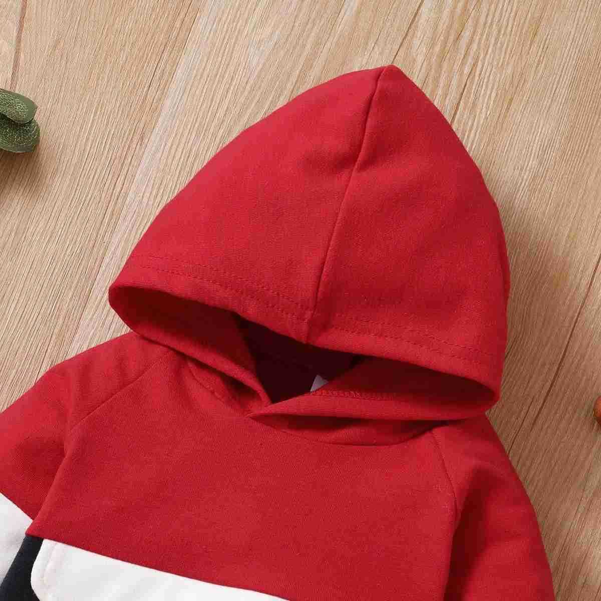 2pcs Baby Color Block Long-sleeve Hoodie and Trousers Set Soft and Comfortable Perfect for Outings and Daily WearXJ241205