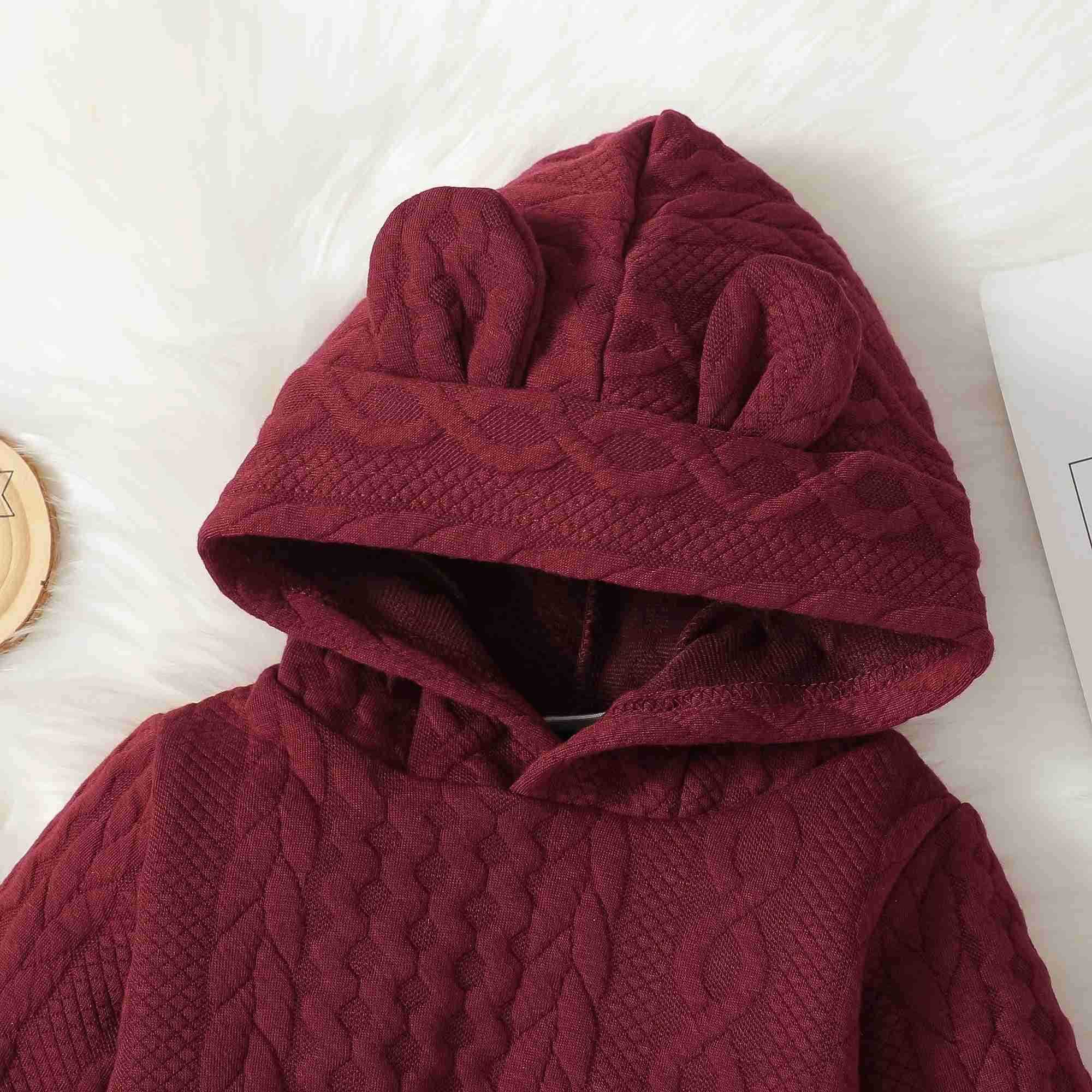 0-2 Year old Cute Baby Girl Set Solid Color Twisted Strip Hooded Long Sleeved PantsTwo-piece Set Baby Girl autumn and Winter SetXJ241205