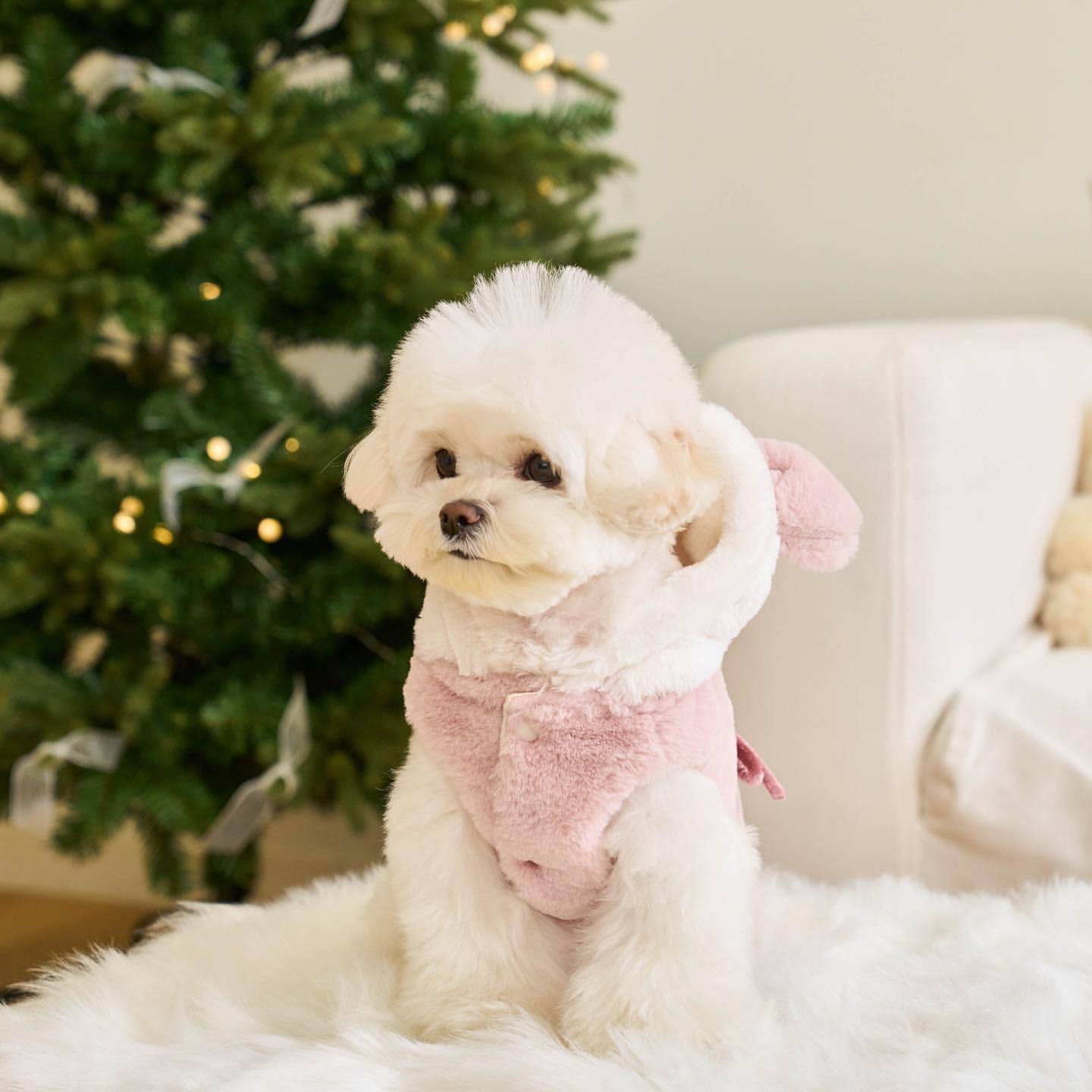 Update Warm Autumn & Winter Pet Jackets - Adjustable Shapeshifting Outfits For Dogs And Cats
