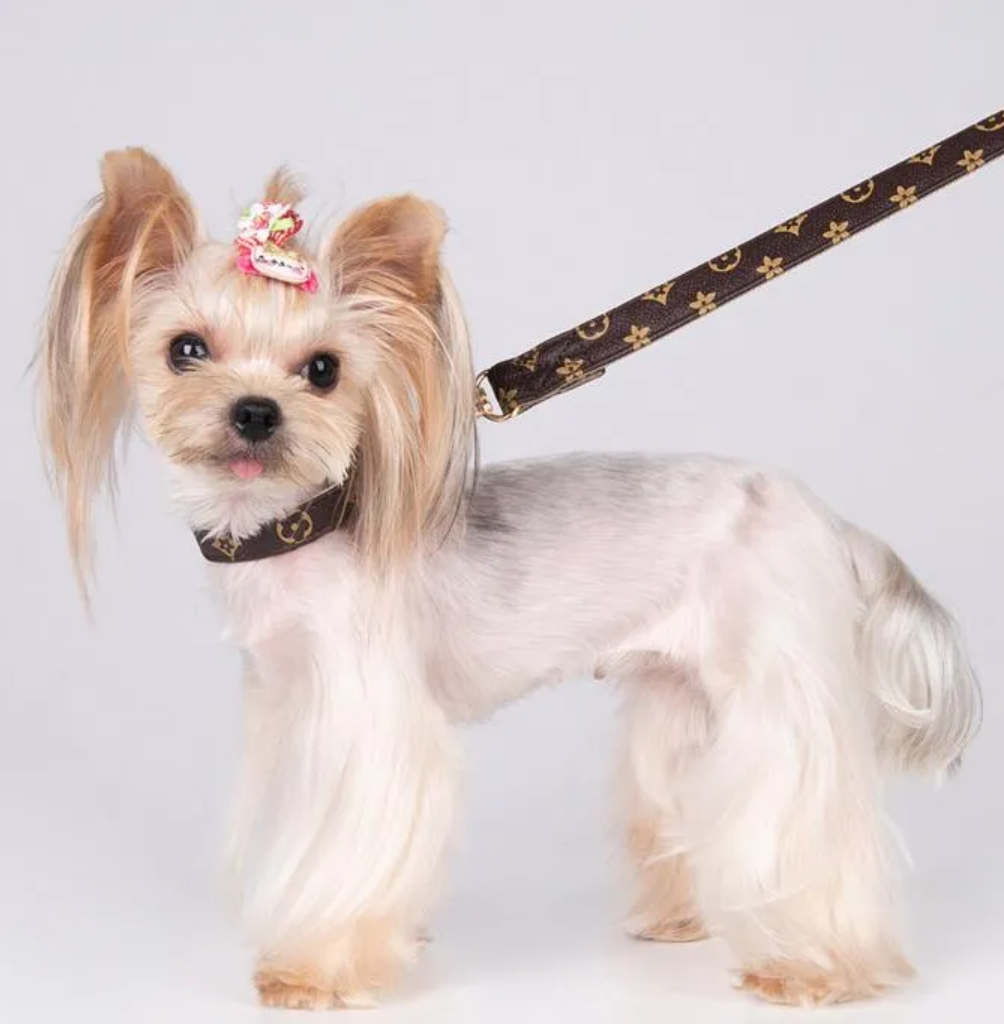 DHL Dog Collars Leash Set Classic Presbya Letters Pattern Print Leashes PU Leather Fashion Casual Adjustable Dogs Cats Neck Strap Cute Pet Collar Pood