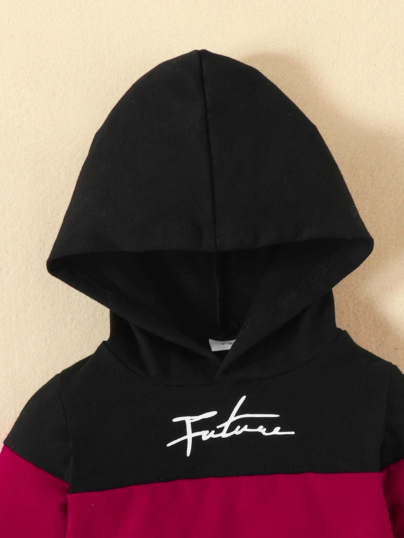 2pcs Baby Boys Casual Set With FUTURE Letter Print Trendy Color Block Hooded Sweatshirt Sweatpants Set For WinterXJ241205