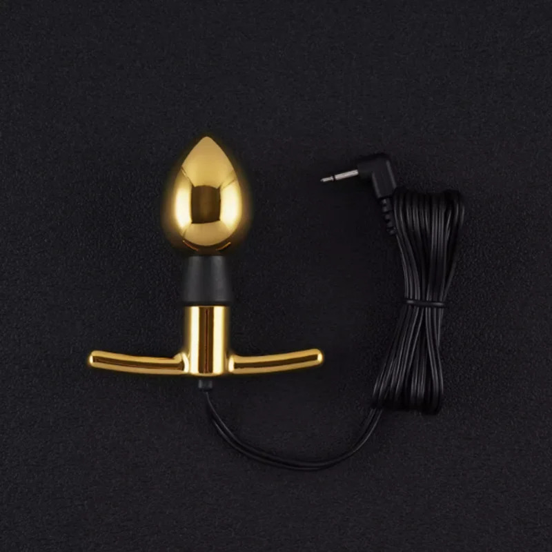 DG-LAB 3.0 Electric Shock Metal Anal Plug Electrode Butt E Stim Sphincter Prostate Massage Electro Vagina Stimulati 241205