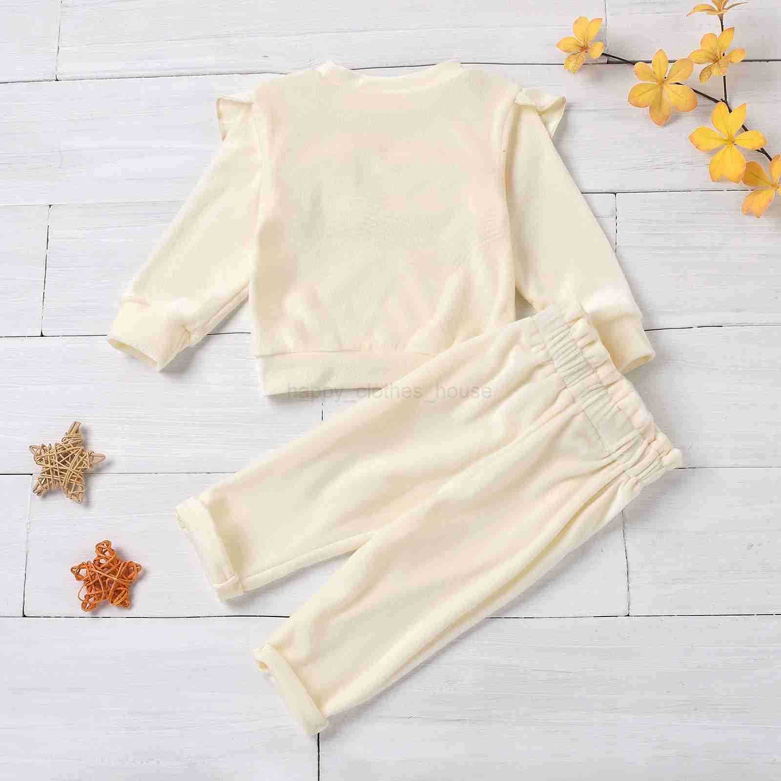2PCS fall and winter models girls coral fleece warm Baby Sets coral fleece top coral fleece pants warm and comfortableXJ241205