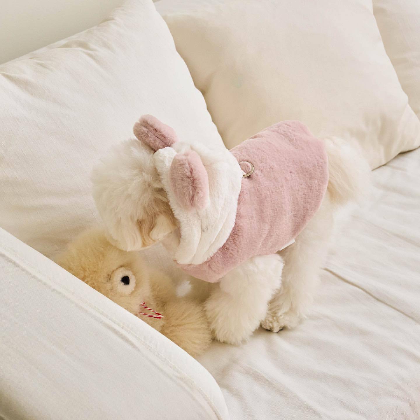 Update Warm Autumn & Winter Pet Jackets - Adjustable Shapeshifting Outfits For Dogs And Cats