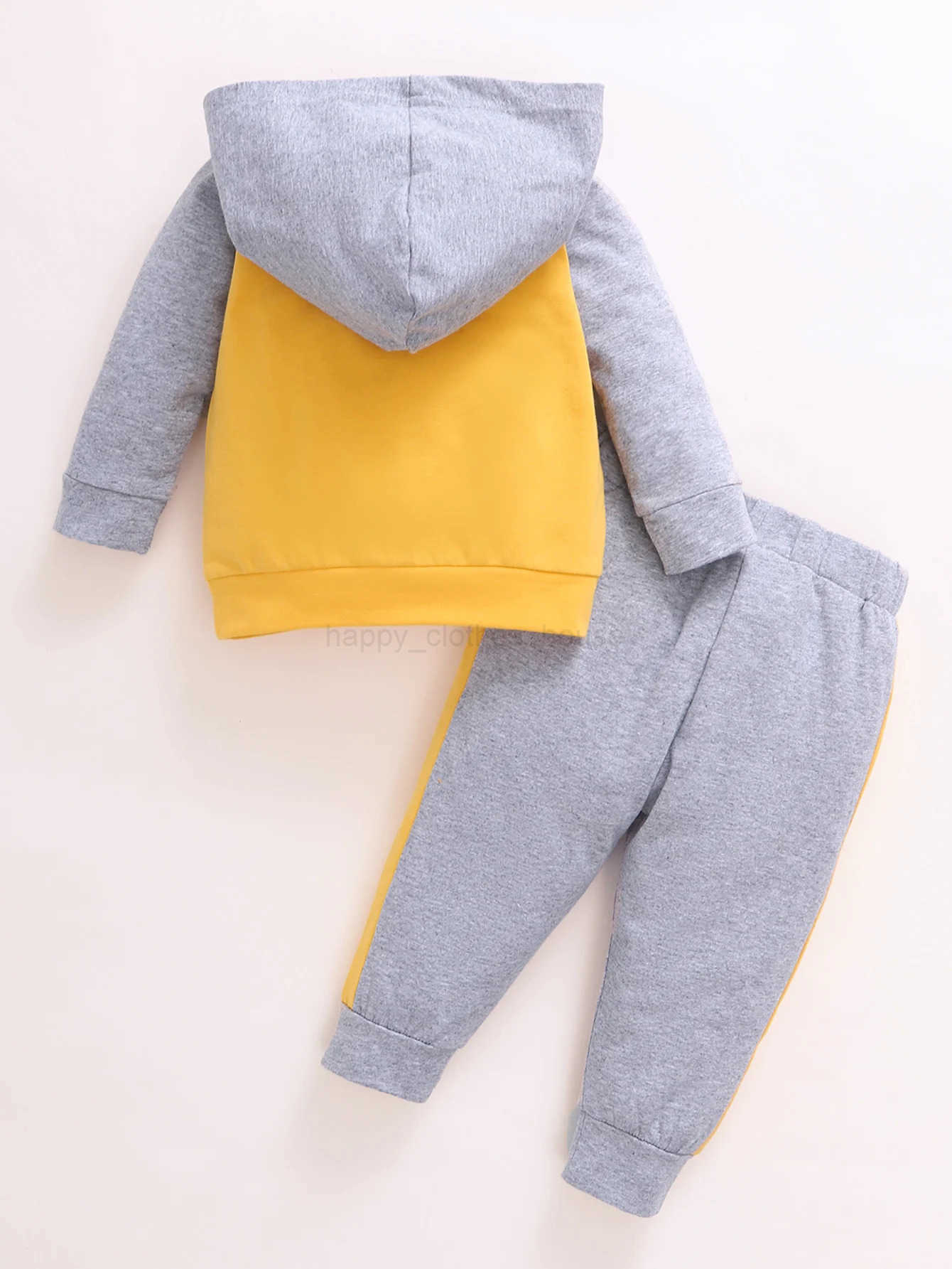 0-24 Months Toddler Baby Boy Clothes Set Cute Long Sleeve Hoodie+Pants Spring Autumn 2PCS Outfit Casual Daily TracksuitXJ241205