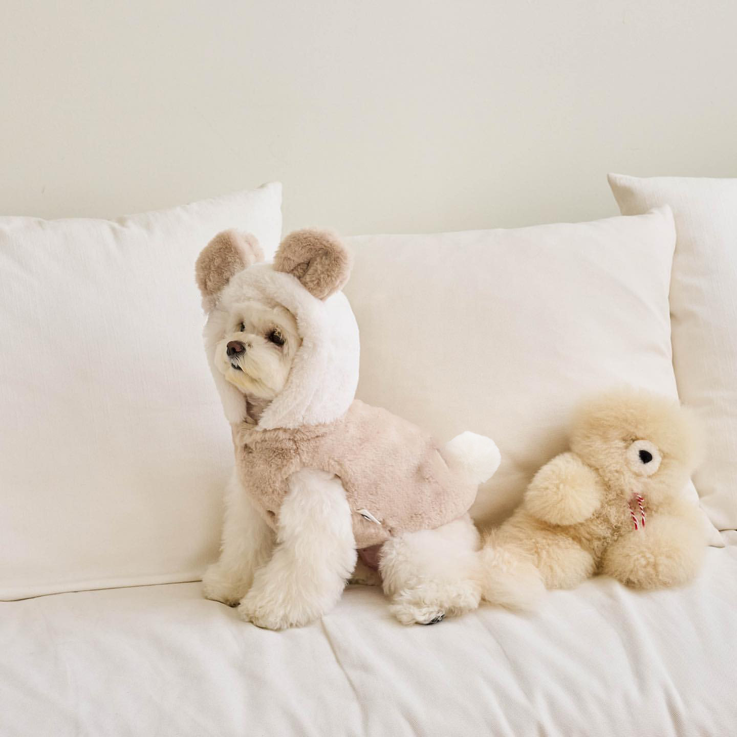 Update Warm Autumn & Winter Pet Jackets - Adjustable Shapeshifting Outfits For Dogs And Cats