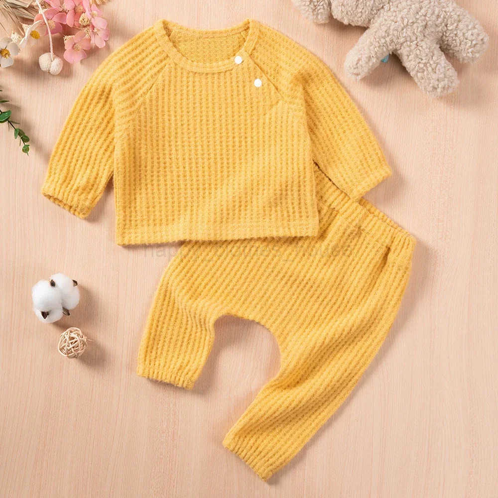 Autumn and Winter Toddler Solid Color Long Sleeved Sportswear and Pants Clothing Set for Casual Childrens Daily WearXJ241205