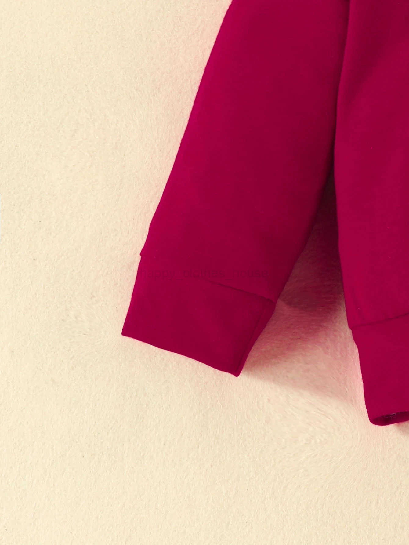 2pcs Baby Boys Casual Set With FUTURE Letter Print Trendy Color Block Hooded Sweatshirt Sweatpants Set For WinterXJ241205