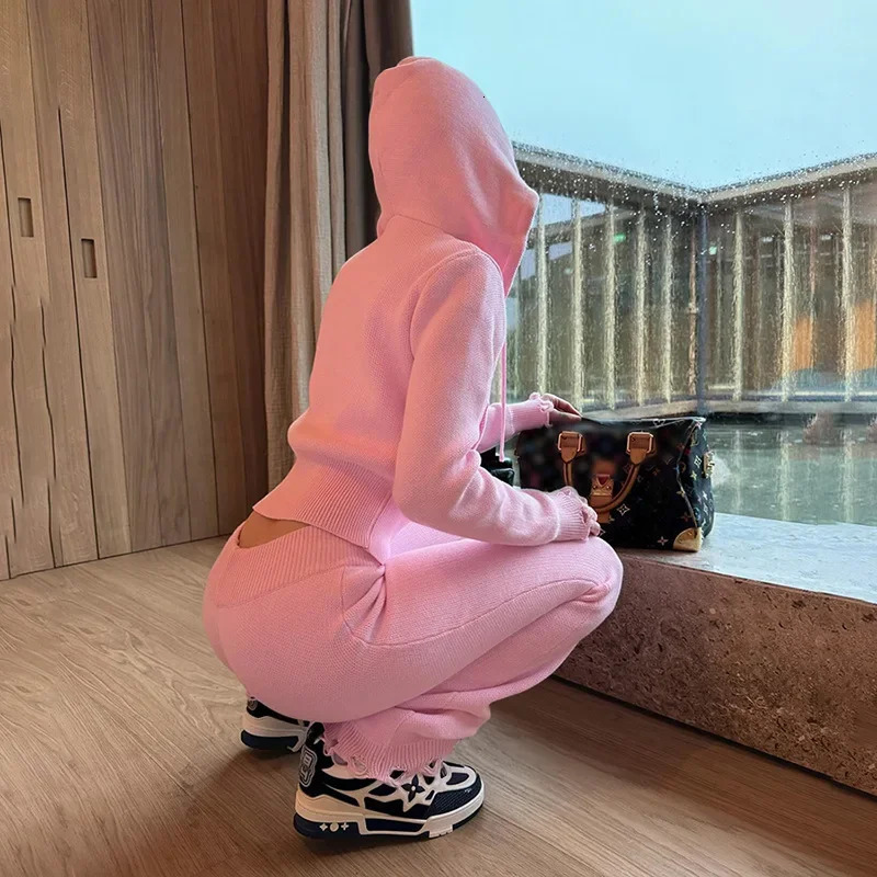 Women Solid Knitted Sweater Two 2 Piece Set Hollow Out Long Sleeve Zipper Hooded Jacket Tops Straight Pants Autumn Tracksuits 241204