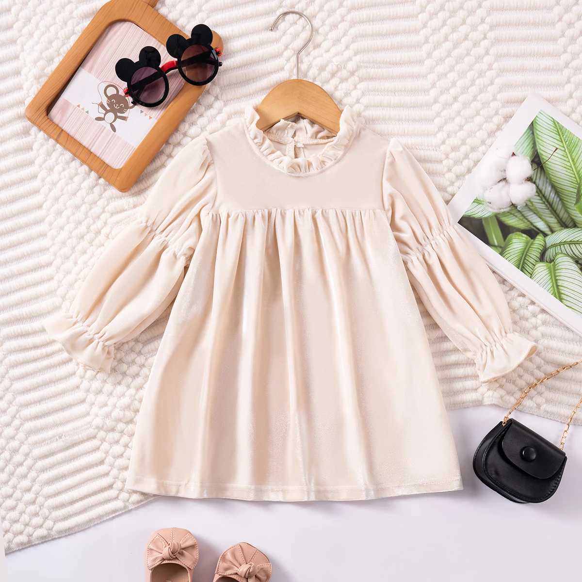 Autumn Girls Fashion Dresses Fashion Childrens Clothing Sweet Lace Baby Long-sleeved Velvet Princess Dress Holiday/daily WearXJ241206