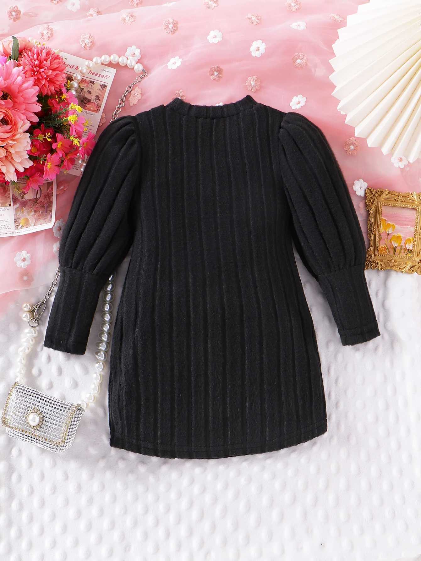Autumn New Sle For Girls Aged 0-3 Years Old Comfortable Fashionable Foreign Sle Flower Embroidered Black DressXJ241206
